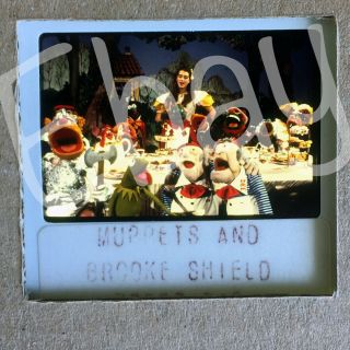 The Muppet Show • Brook Shields • 35 Mm Press Transparency Slide