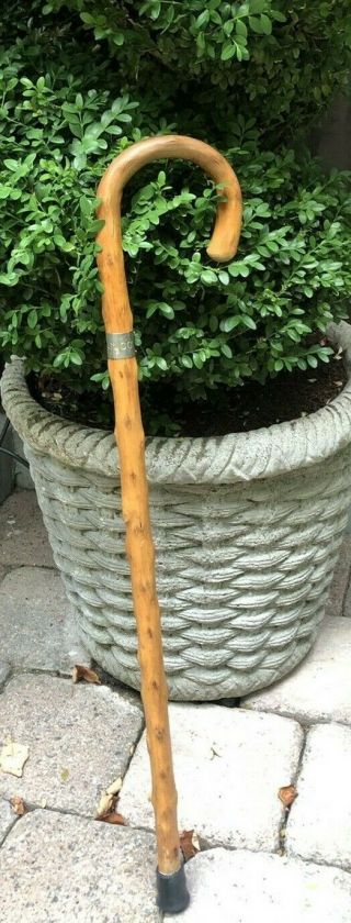 Vintage Gucci Italy Wood Cane Walking Stick 31 " Rivet Band Ferrule Stamped Gucci