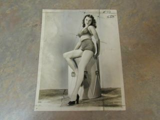 Vintage 1946 Rhonda Fleming Swimsuit Press Photo 7 " X 9 "