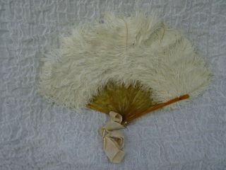 Antique Art Deco French Ostrich Feather Ladies Hand Fan