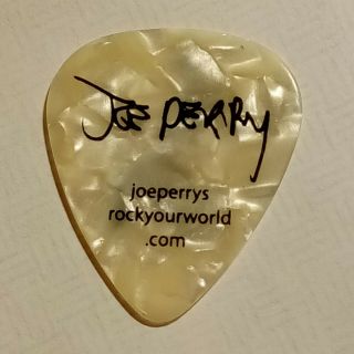 Joe Perry Aerosmith Guitar Pick 2