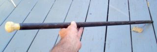 Antique 19th Century Victorian Era Or Earlier Walking / Swagger Stick Cane