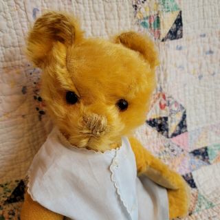 Vintage English Alpha Farnell Teddy Bear 1930 