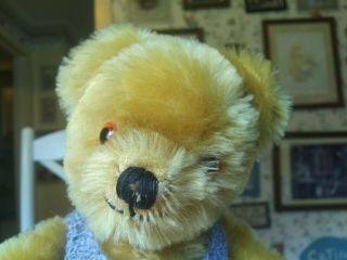 Antique Vintage 1960s Mohair Alpha Farnell Teddy Bear England Uk 12in Guc,