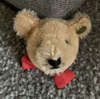 Steiff Mohair Teddy Bear Head Pin W/ Ear Button Cute Buy Now