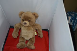 Kidpower Little Bear 14 " Brown Plush Maurice Sendak 1999 Stuffed Animal