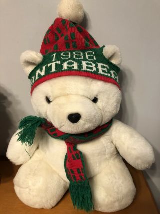 Vintage 1986 Dayton Hudson Christmas Plush Santa Bear,  Scarf,  & Stocking Hat Cap