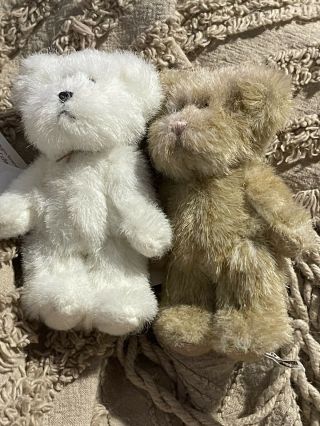 Miniature Boyds Bears Plush Bear Boyd’s Bears And Friends White & Tan