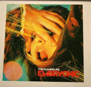 The Flaming Lips Embryonic Album Picture Lithograph Poster 14x14