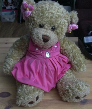 Build A Bear Brown Teddy Bear In Pink Removeable Dress & Flower Earrings Babw A8