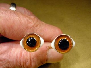 A Pair Vintage Solid Glass Eyes Size 17mm Teady Bear Taxidermy Age 1910 Art A9