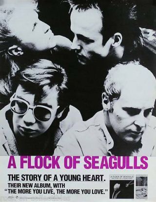 A Flock Of Seagulls 1984 Story Of A Young Heart Promo Poster