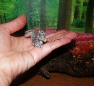 Squirrel & Nuts Ooak Realistic 1:12 Dollhouse Miniature Handmade Handsculpt Igma