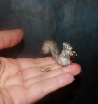 Squirrel & 3 Nuts Ooak Miniature 1:12 Dollhouse Miniature Handmade Handsculpted