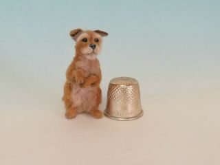 Ooak Dollhouse Miniature 1:12 Dog Irish Terrier Realistic Handmade Igma Jparrott