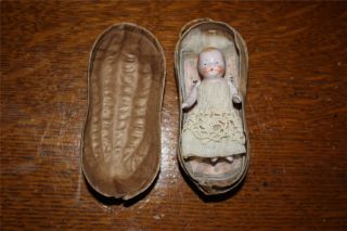 Antique German Miniature All Bisque Baby Doll In Candy Container Peanut No Res