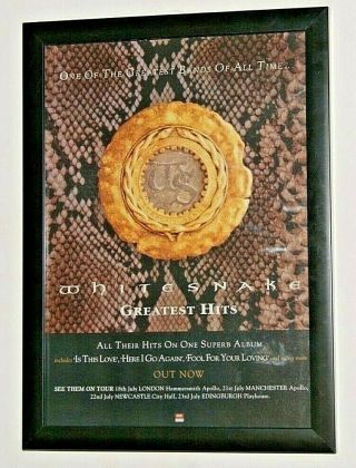 Whitesnake Framed A4 1994 `greatest Hits` Band Album Promo Art Poster