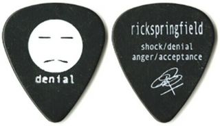 Rick Springfield 2004 Shock/denial/anger/acceptance Concert Tour Guitar Pick