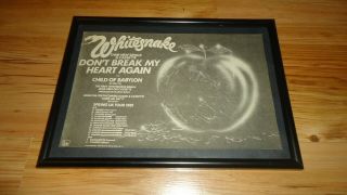Whitesnake Don 