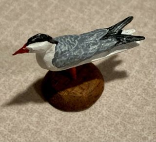 1:12 Scale 2008 Doug Guy Hand Carved And Hand Painted Common Tern