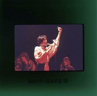 5/1976 Joan Baez Rolling Thunder Revue David Gahr 35mm Music Transparency A565