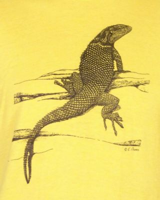 Vintage 80s Single Stitch Iguana T - Shirt Reptile Jesus Lizard Basilisk Animal M