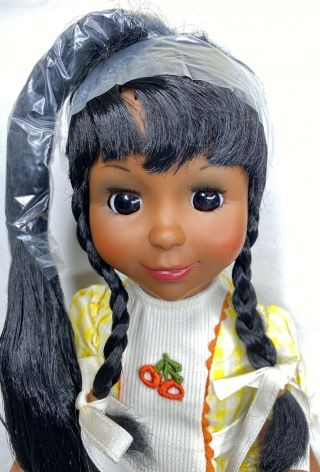 Vintage 1976 Ideal TARA Grow Hair AA Doll - - Minty - MIB 3