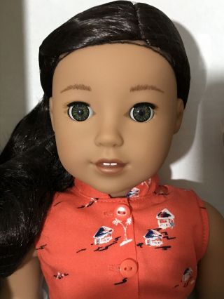 American Girl Nanea Doll,  Hula Outfit,  Mele Dog,  Birthday Accessories 2