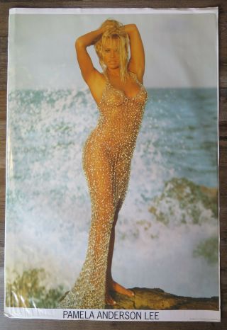 1996 Pamela Anderson Huge 35 X 24 Poster