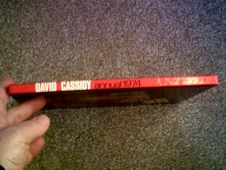 DAVID CASSIDY ANNUAL 1974 Published 1973 Vintage Book 2