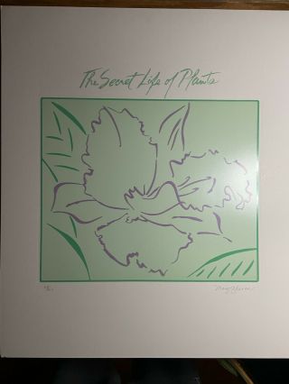Stevie Wonder The Secret Life Of Plants Album Art Lithograph Print Margo Nahas