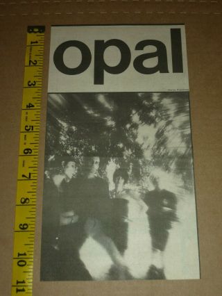 Opal Clipping Pinup Newsprint Uk Printing Kendra Smith Mazzy Star Psych Indie