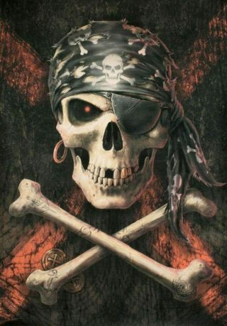 Anne Stokes Textile Poster Fabric Flag Pirate Skull