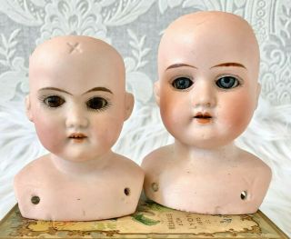 2 Antique Doll German Am Bisque Shoulder Heads Glass Sleep Eyes Ruth Florodora