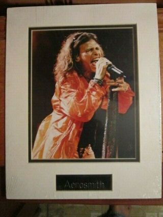Steven Tyler Aerosmith Singing Music Mike Stand 8x10 Photo Print Matted To Frame