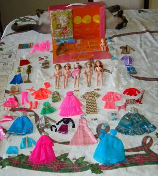 Topper Dawn Dolls,  3 - Doll Case,  Stands,  Clothes,  Brochures And Accessories,  Etc