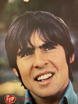 Davy Jones,  The Monkees,  Full Page Vintage Pinup