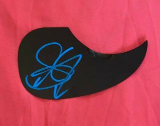 Steven Tyler Aerosmith Signed Autographed Acoustic Style Pick Guard Rock N Roll
