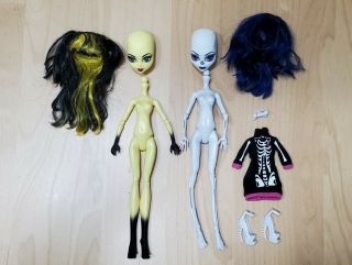Monster High Create A Monster Skeleton & Insect Out Of Box