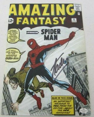 Stan Lee Signed Fantasy Spider Man 1 8x12 Poster Certificate Vs