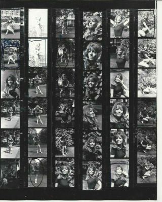 Ingrid Pitt Vintage 10x8 Rare Photographers Contact Sheet Hammer