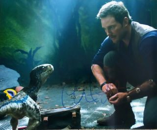 Chris Pratt Autographed 8x10 Photo - Guardians Of The Galaxy Jurassic World