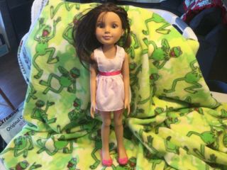 2009 Mga Best Friends Club Bfc 18 " Doll Brown Eye Articulated Pink Shoes Dress