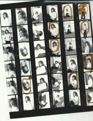 Fiona Lewis Sexy Vintage 10x8 Contact Sheet By Tony Rios Stamped N2