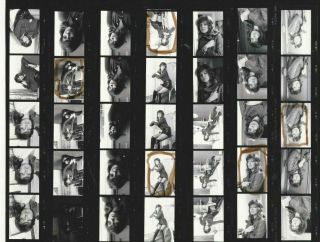 Fiona Lewis Sexy Vintage 10x8 Contact Sheet By Tony Rios Stamped