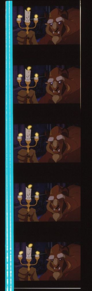 The Beauty And The Beast 35mm Film Cell Strip Very Rare B32