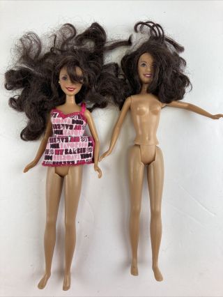 2 Barbie Fashionistas Petite Doll Brunette Hair Hispanic Latina